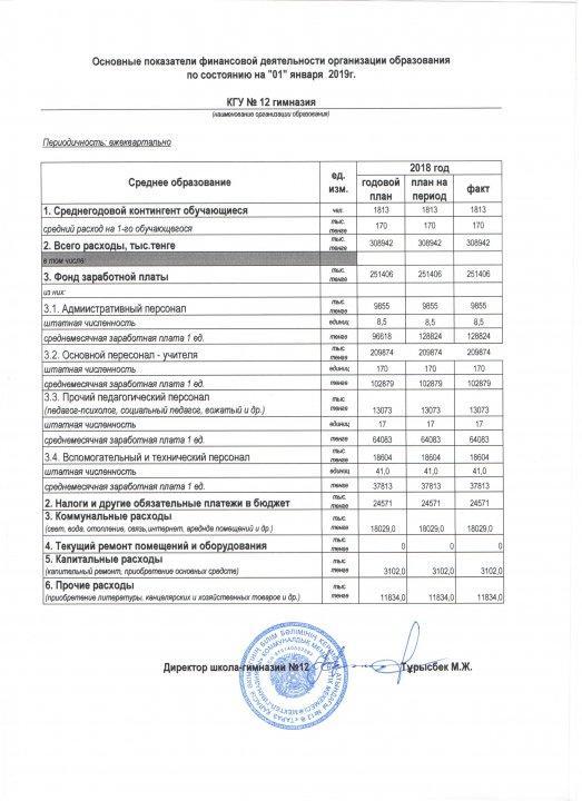 Финансовой деятельности КГУ №12 на 01.01.2019